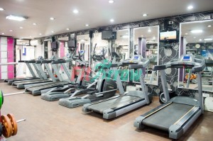 Absolute Fitness- Krishna nagar