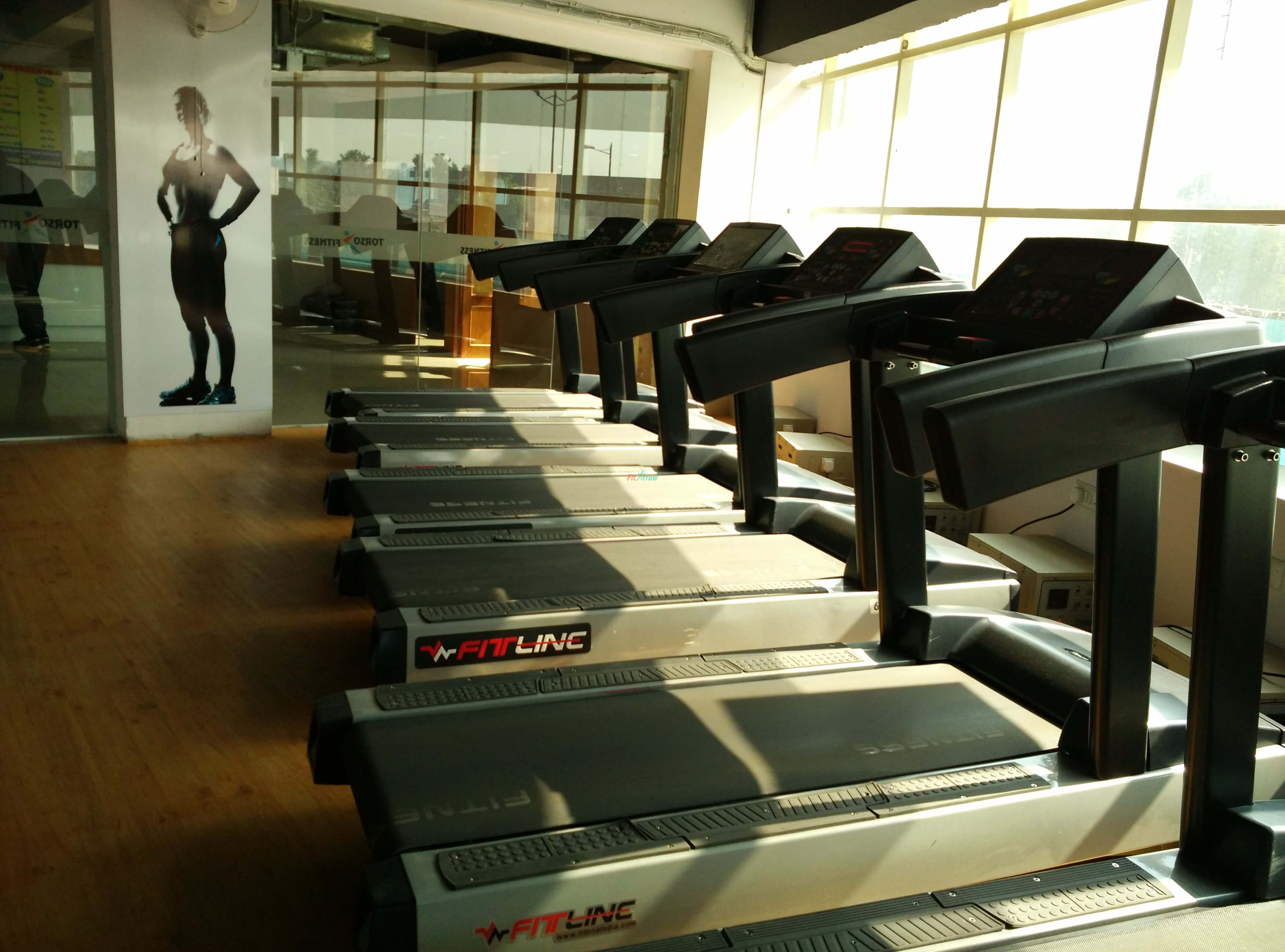 Torso Fitness Treadmill, Kapashera, Delhi