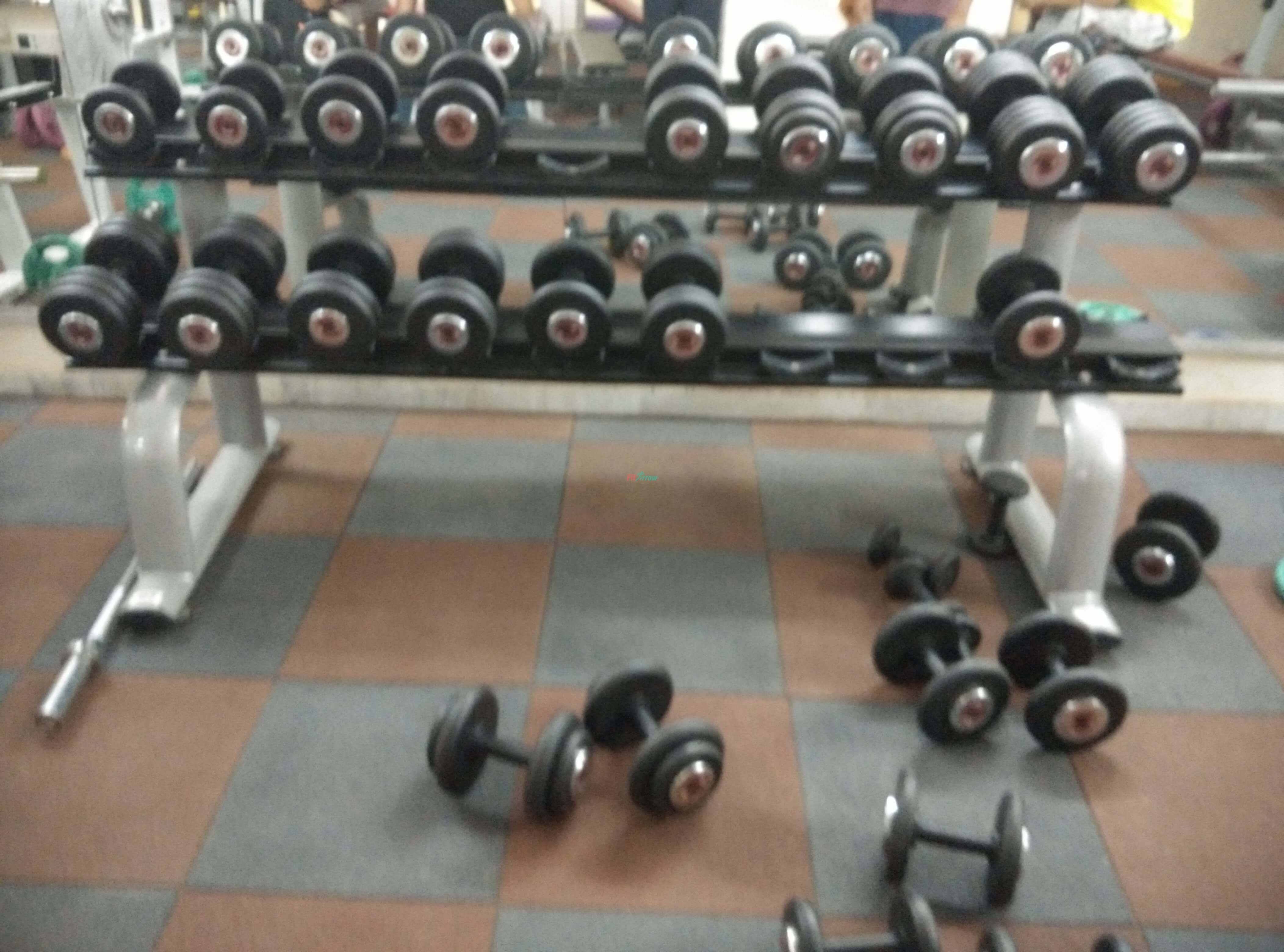 Free Weights at Torso Fitness gym , Sec-21, Gurgaon