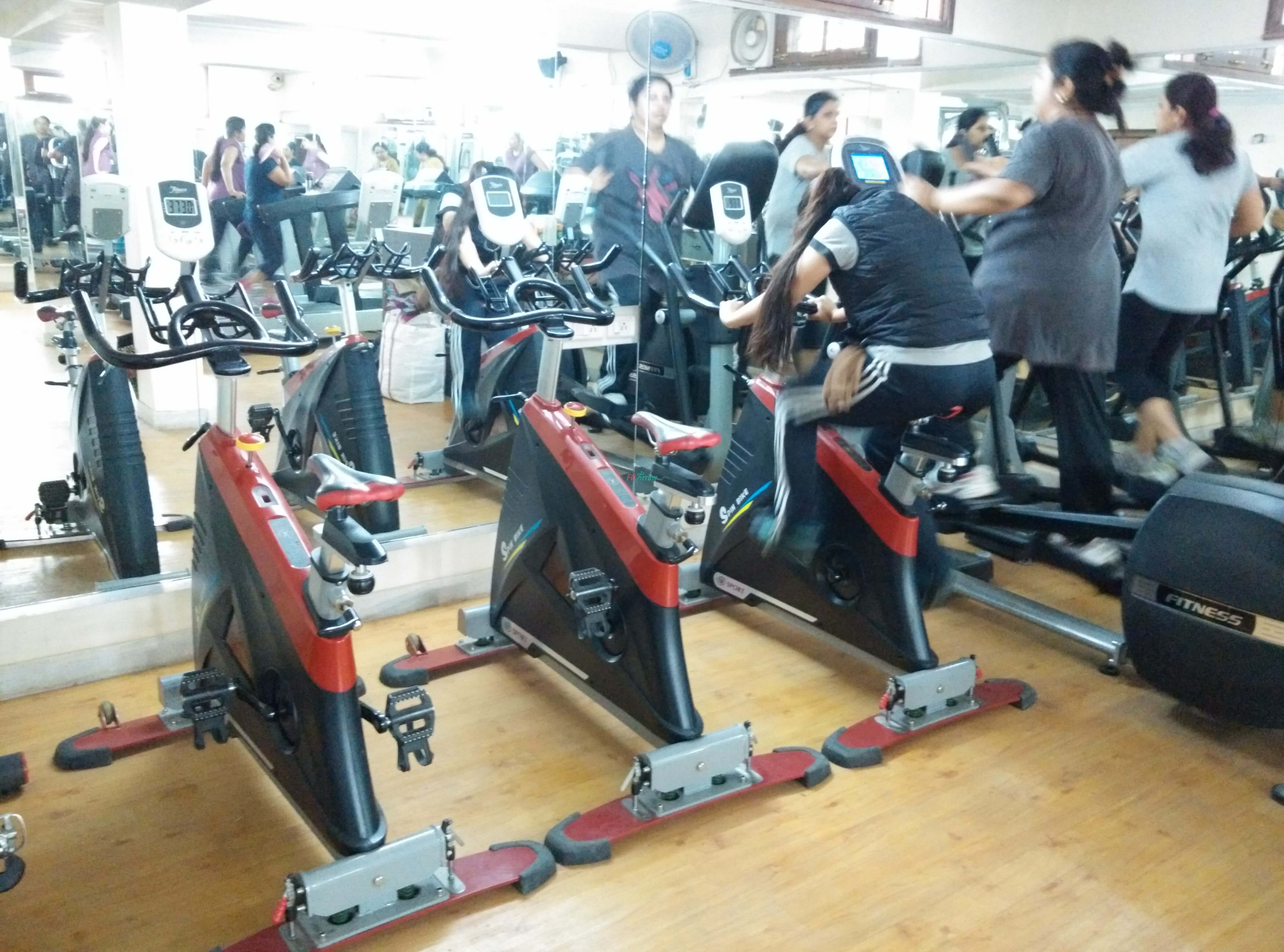 Female fitness at Torso Fitness Gym and Fitness centre, Sec-21, Gurgaon