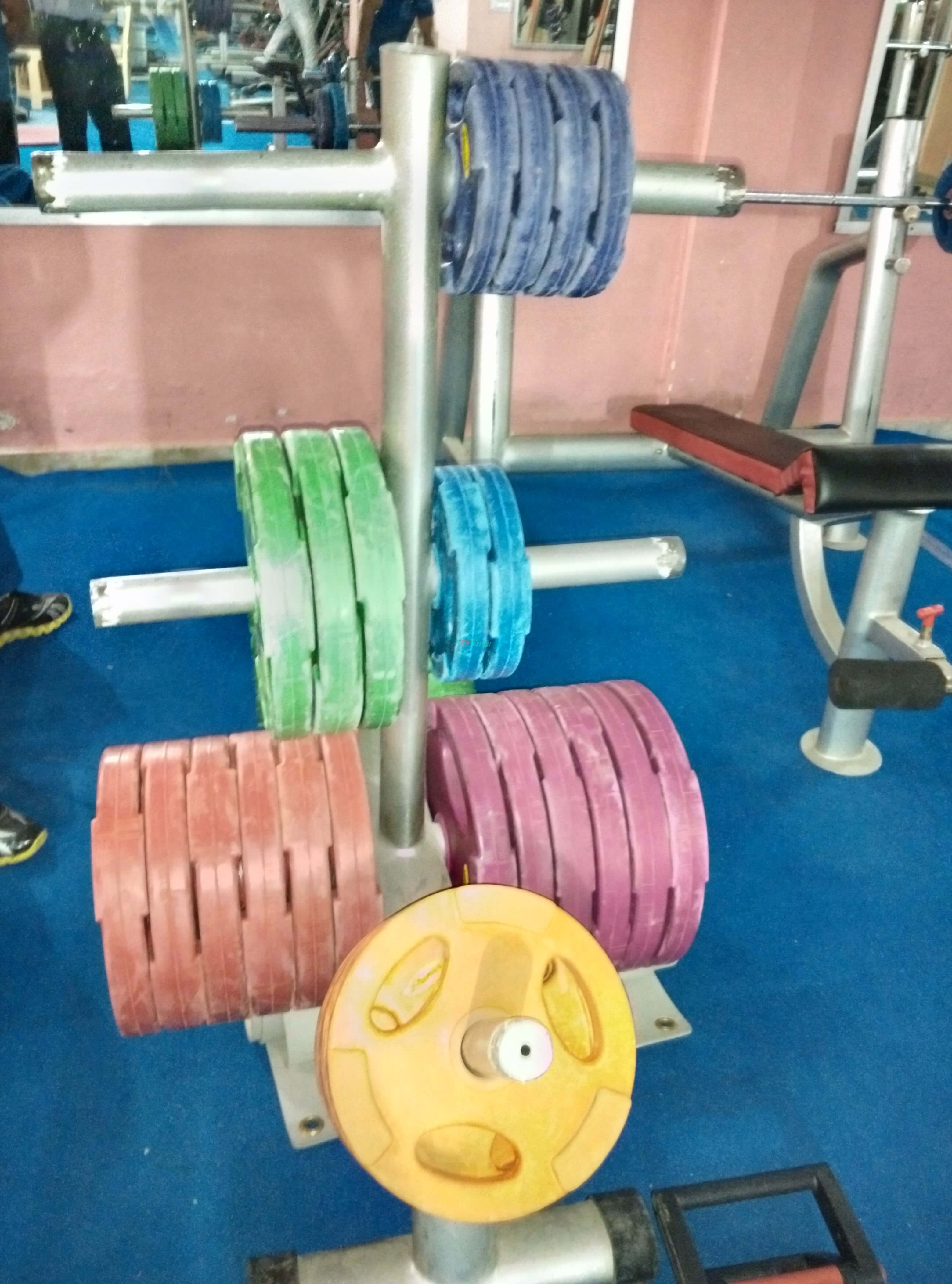 Body Building at Fitness Zone, Sec 21, Gurgaon| Body Building in Gyms at Sector 21 Gurgaon