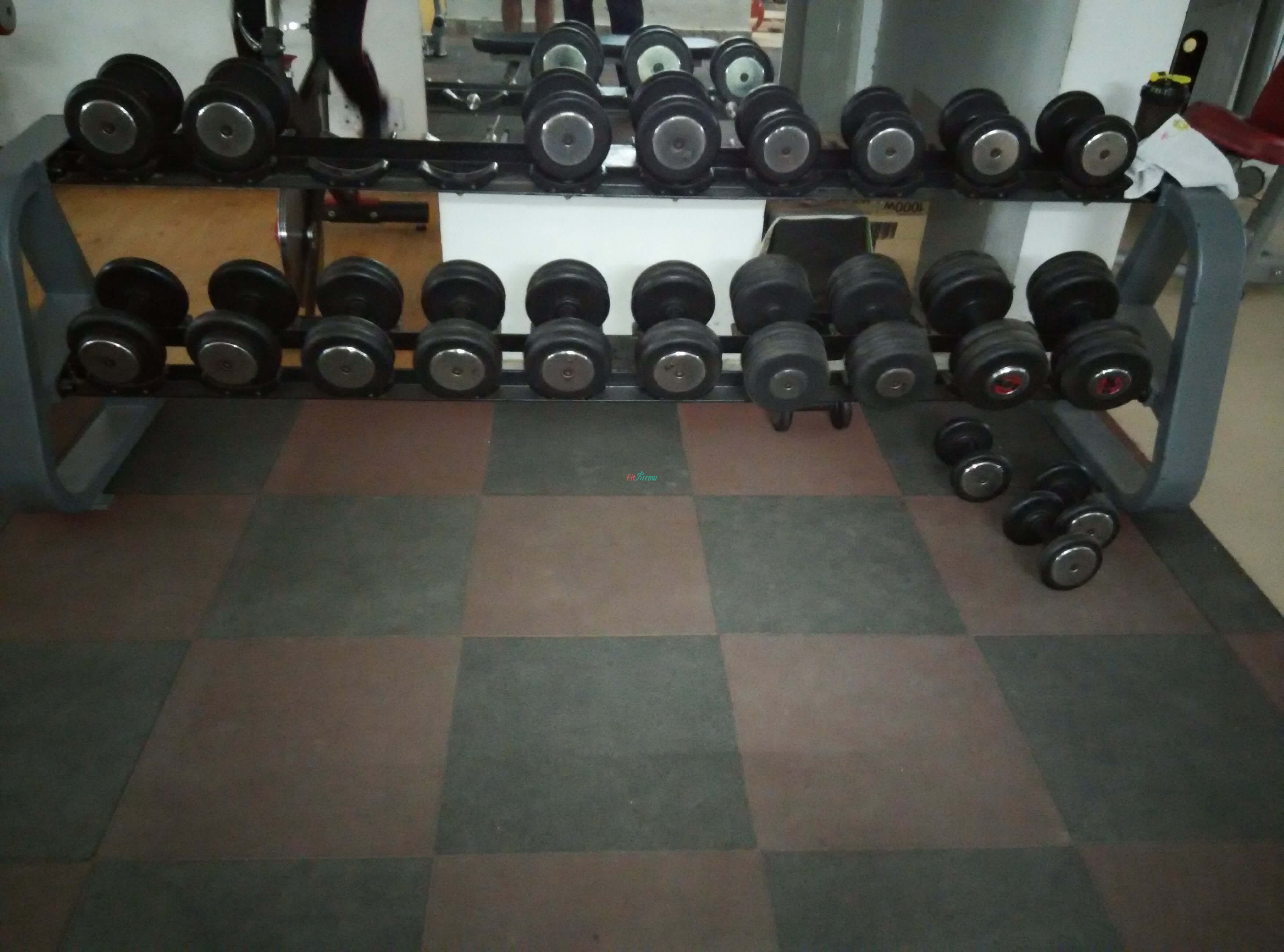 Free Weights Training at Total Fitness, Sec 22 Market, Gurgaon| Free Weights Training at Sector 22 Gurgaon