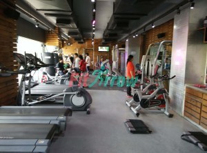 The GYM health planet, Sector 14, Gurgaon