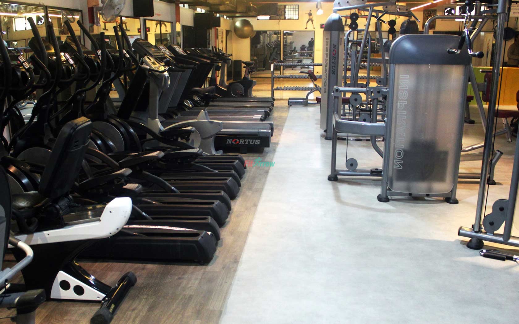 Sculpt Treadmill , Sec-14, Gurgaon- Gym, Aerobics