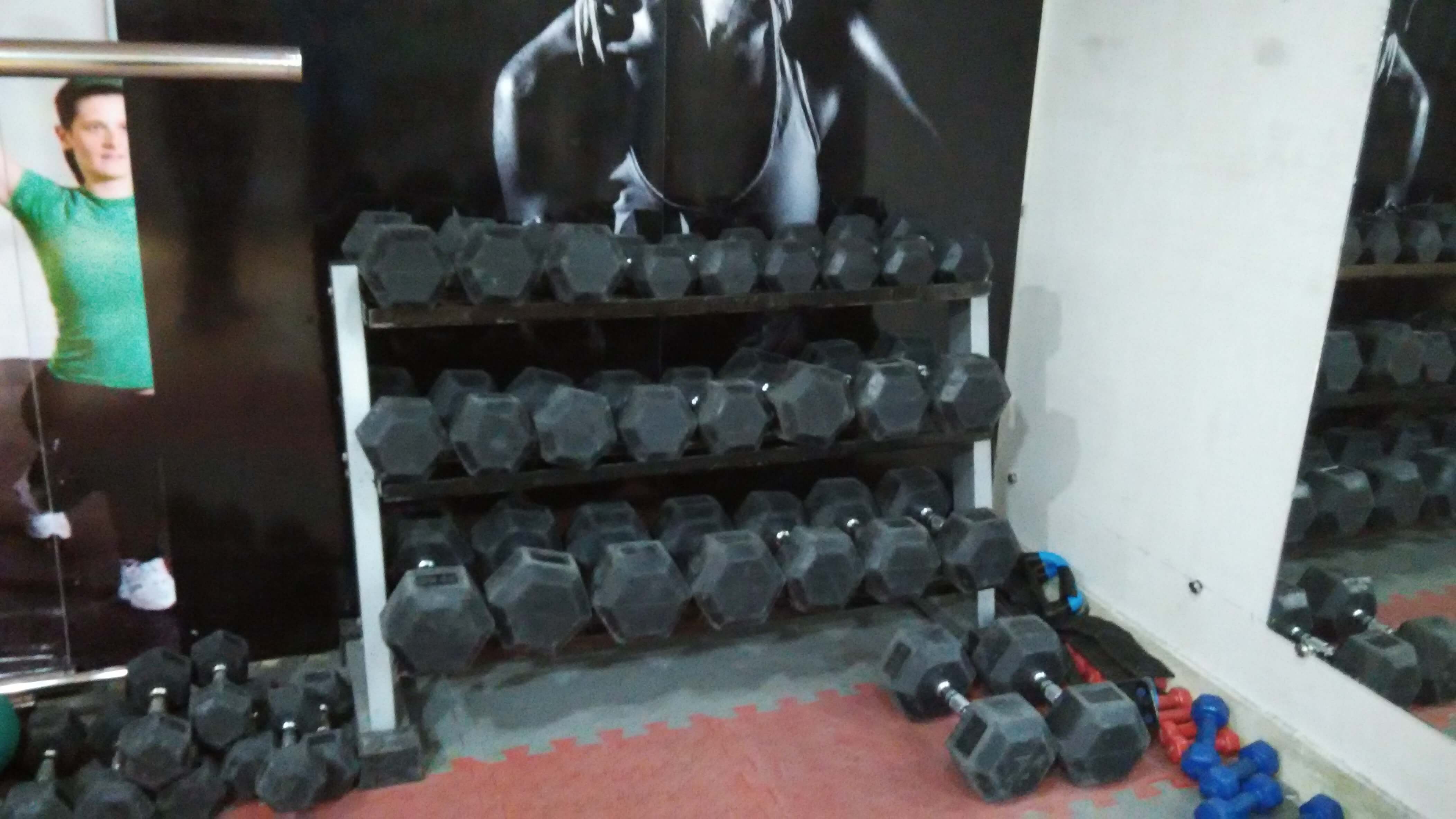 Free Weights for Gym and fitness centre in pitampura