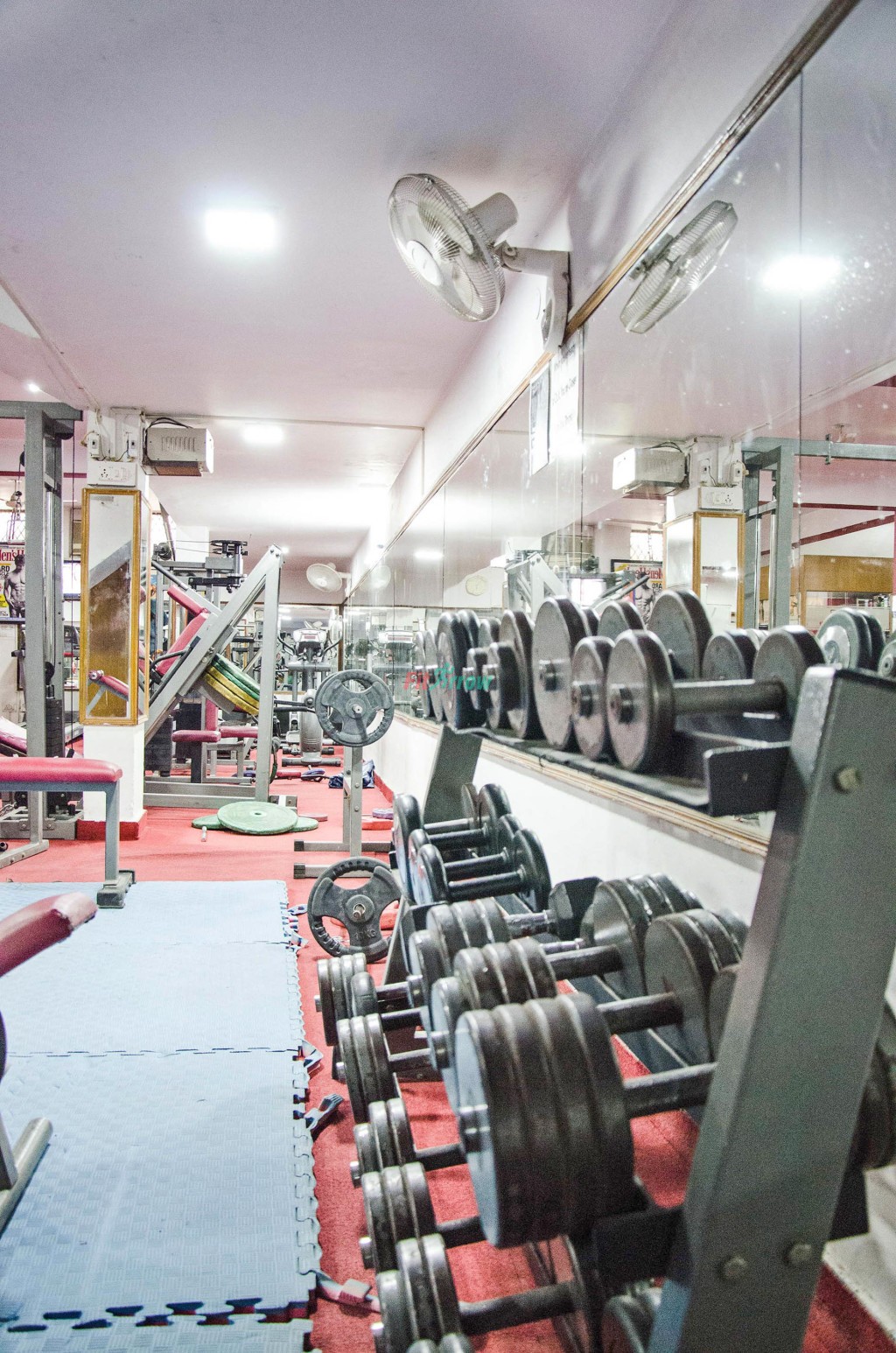 Fitness studio in Palam Vihar gurgaon, Fitness studio with AC in Palam Vihar, Fitness studio with Boxing Ring in Palam Vihar, Fitness studio with Cardio Theatre in Palam Vihar, Fitness studio with Changing Room in Palam Vihar, Fitness studio with Free Parking in Palam Vihar, Fitness studio with Hairdressing salon in Palam Vihar, Fitness studio with Juice counter in Palam Vihar, Fitness studio with Lockers in Palam Vihar, Fitness studio with Personal Training in Palam Vihar, Fitness studio with Pilates in Palam Vihar, Fitness studio with Resistance Machines in Palam Vihar, Fitness studio with Showers in Palam Vihar, Fitness studio with Steam Room in Palam Vihar, Fitness studio with Travel Card in Palam Vihar, Fitness studio with WiFi in Palam Vihar